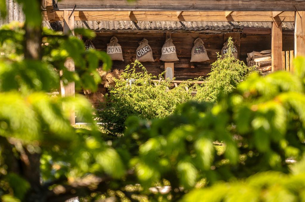 Usadba Belovezhskoye Pomestye Hotel Kamenyuky ภายนอก รูปภาพ